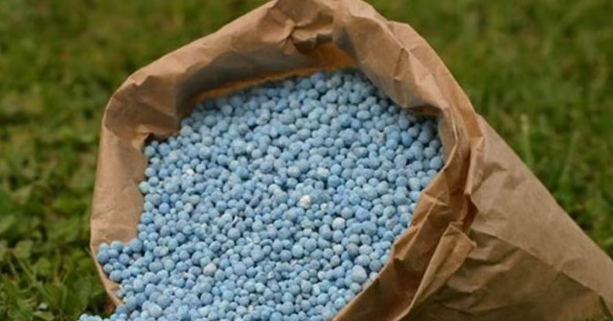 Fertilizer And Seed Business