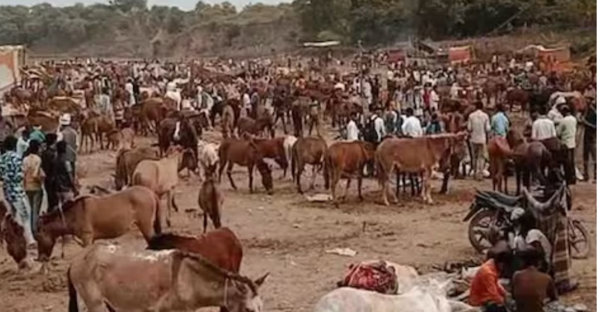 Chitrakoot Mela