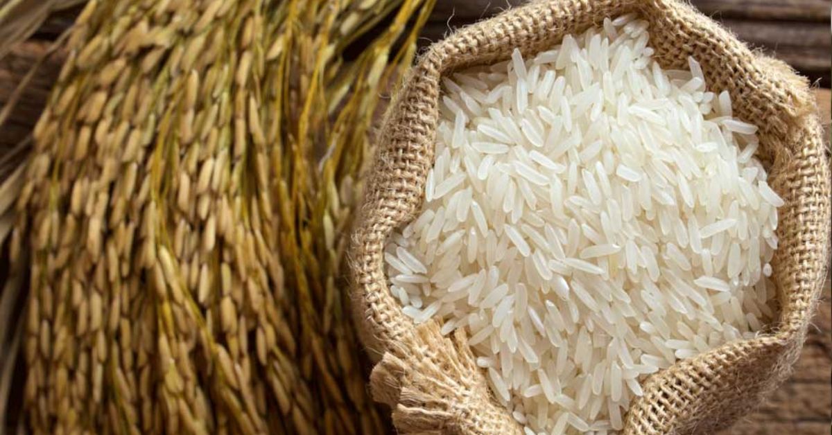 Basmati Rice Price