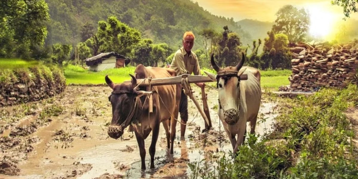 IMD Panchayat Weather Service