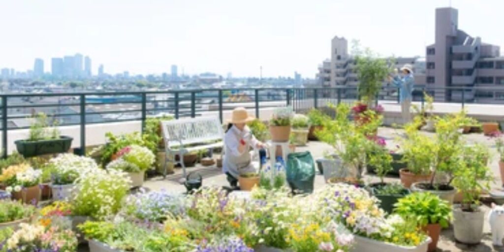 Rooftop Gardening Scheme