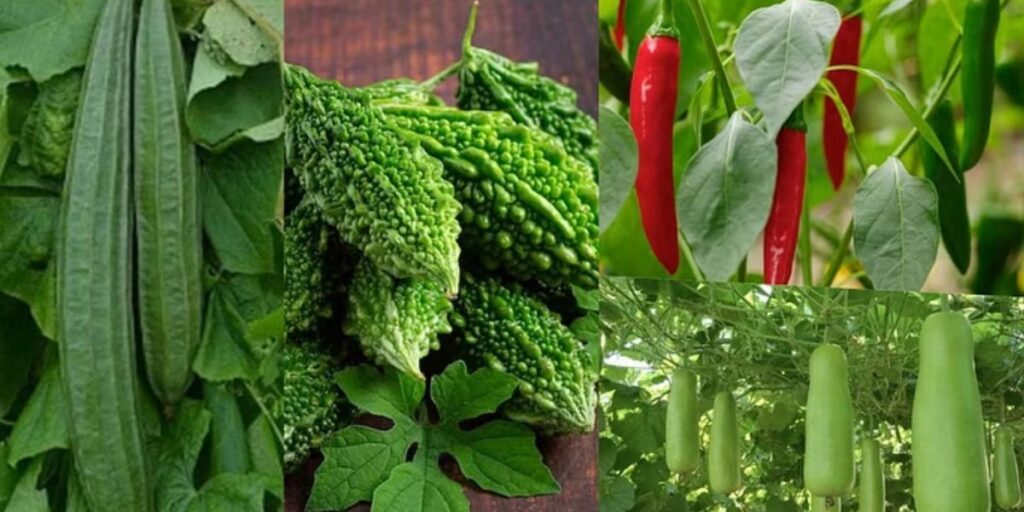 Top Five Vegetables of February